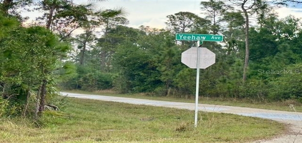 801 Yeehaw Avenue Clewiston Florida, 33440 | Beautiful  Land