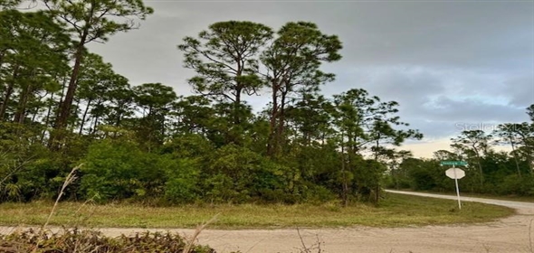801 Yeehaw Avenue Clewiston Florida, 33440 | Beautiful  Land