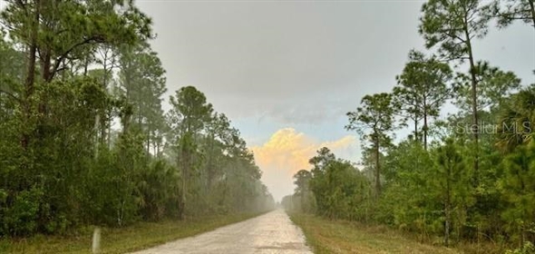 801 Yeehaw Avenue Clewiston Florida, 33440 | Beautiful  Land