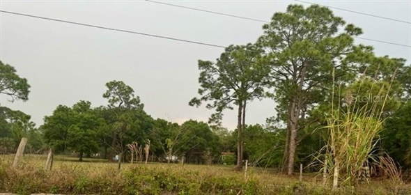800 Wildwood Avenue Clewiston Florida, 33440 | Amazing Land
