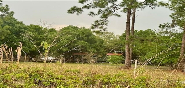 800 Wildwood Avenue Clewiston Florida, 33440 | Amazing Land