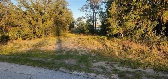 1331 Congo Drive Poinciana Florida, 34759 | Spectacular Land