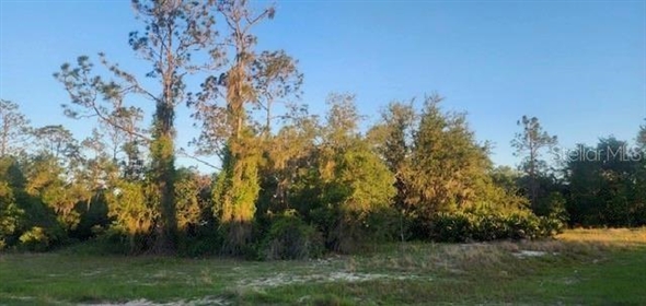 1331 Congo Drive Poinciana Florida, 34759 | Spectacular Land