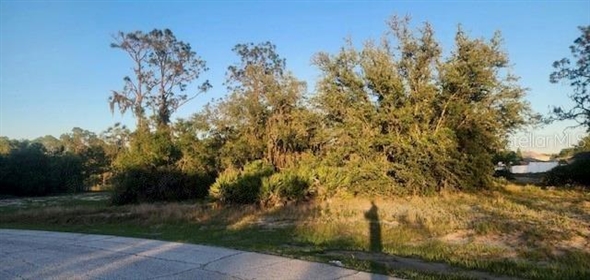 1331 Congo Drive Poinciana Florida, 34759 | Spectacular Land