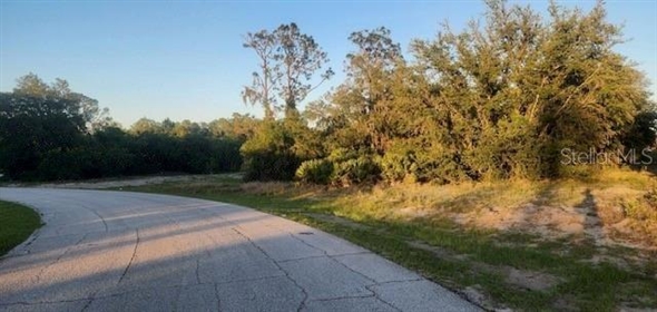 1331 Congo Drive Poinciana Florida, 34759 | Spectacular Land