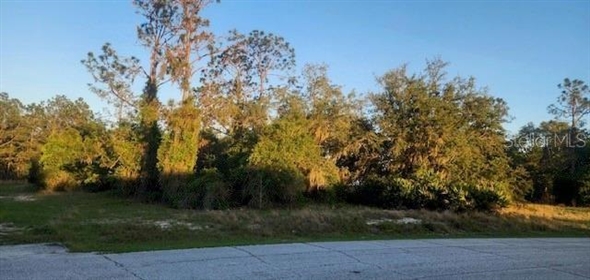 1331 Congo Drive Poinciana Florida, 34759 | Spectacular Land