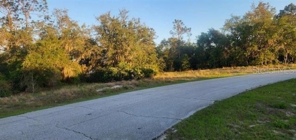 1331 Congo Drive Poinciana Florida, 34759 | Spectacular Land