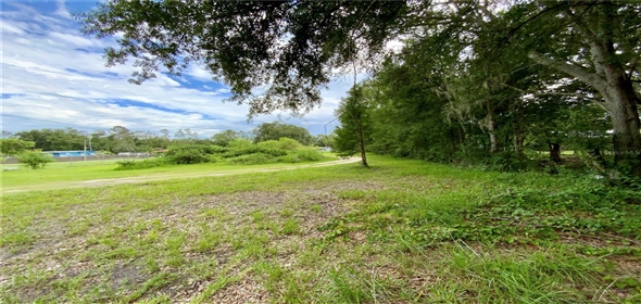 2010 Ridge Meadow Drive Lakeland Florida, 33809 | Awesome Single family