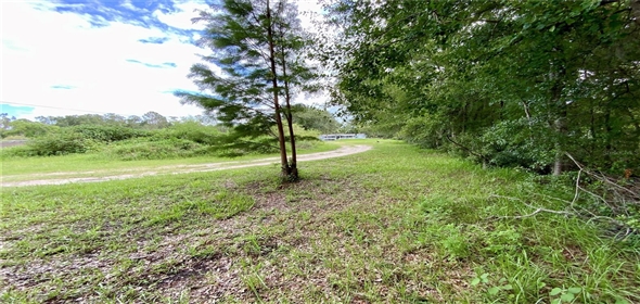 2010 Ridge Meadow Drive Lakeland Florida, 33809 | Awesome Single family