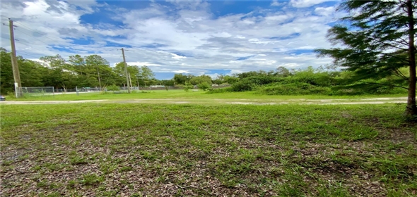 2010 Ridge Meadow Drive Lakeland Florida, 33809 | Awesome Single family