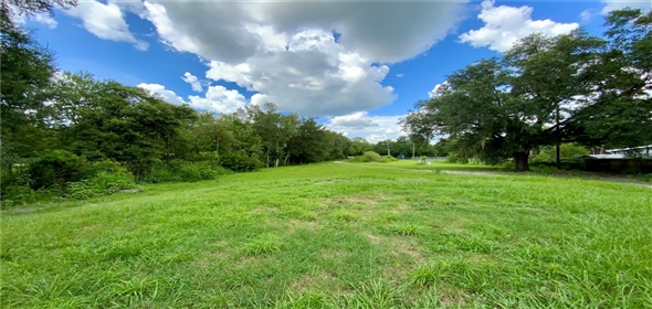 2010 Ridge Meadow Drive Lakeland Florida, 33809 | Awesome Single family