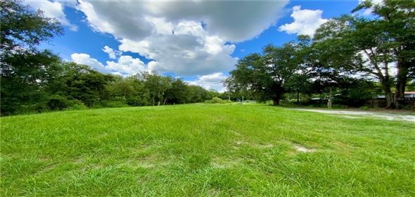 2010 Ridge Meadow Drive Lakeland Florida, 33809 | Awesome Single family