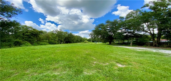 2010 Ridge Meadow Drive Lakeland Florida, 33809 | Awesome Single family