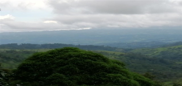 Caffe Land Ruta 43 a Rio Sereno, Santa Clara 093/083 Chiriqui Chiriqui, 04051 | Exclusive Caffe Land - Finca Cafetalera en Santa Clara