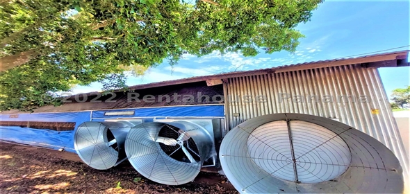 Carretera Panamericana entrada Los Pinos Aguadulce Cocle,  | Poultry farm