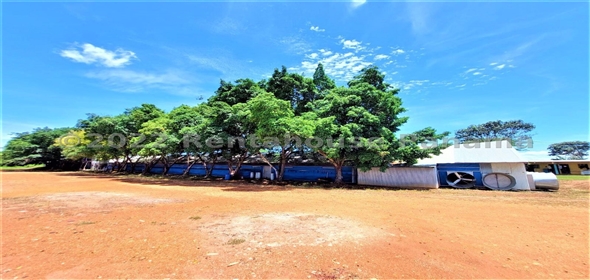 Carretera Panamericana entrada Los Pinos Aguadulce Cocle,  | Poultry farm
