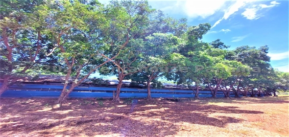 Carretera Panamericana entrada Los Pinos Aguadulce Cocle,  | Poultry farm