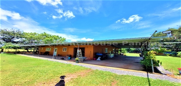 Carretera Panamericana entrada Los Pinos Aguadulce Cocle,  | Poultry farm