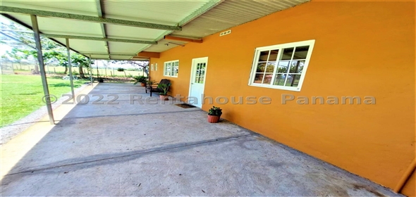 Carretera Panamericana entrada Los Pinos Aguadulce Cocle,  | Poultry farm