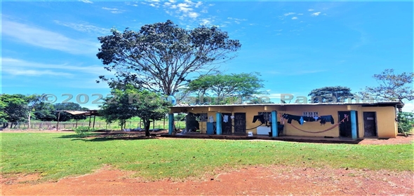 Carretera Panamericana entrada Los Pinos Aguadulce Cocle,  | Poultry farm