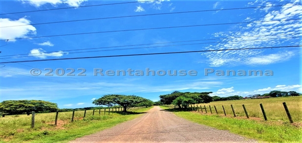 Carretera Panamericana entrada Los Pinos Aguadulce Cocle,  | Poultry farm
