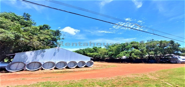 Carretera Panamericana entrada Los Pinos Aguadulce Cocle,  | Poultry farm