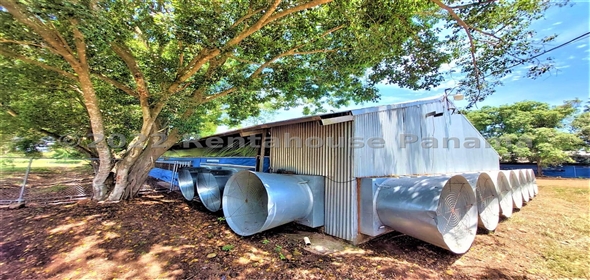 Carretera Panamericana entrada Los Pinos Aguadulce Cocle,  | Poultry farm