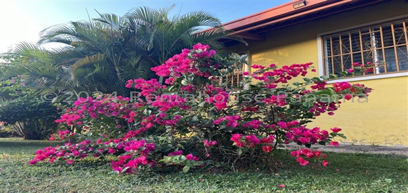 Casa de campo Carretera rio grande Panama City Panamá Province,  | Single family home