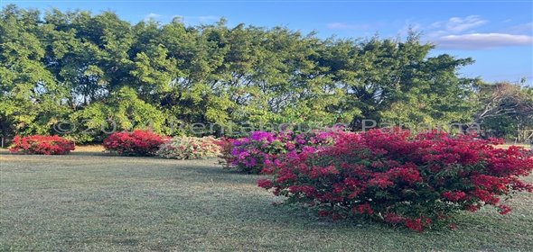 Casa de campo Carretera rio grande Panama City Panamá Province,  | Single family home