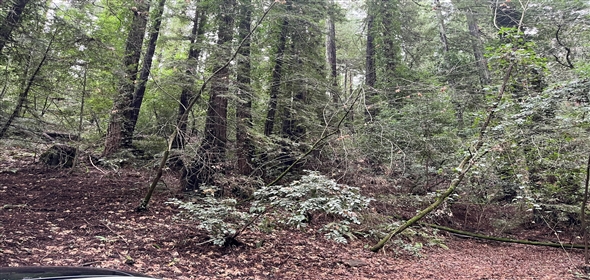 37 Conifer Way Woodacre California, 94973 | Opportunity/Residential/Land/Sale