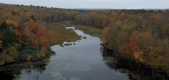 Horseshoe Lake Rd Bethel New York, 12720 | 370+ Land Sale / Bethel, NY - Sullivan County