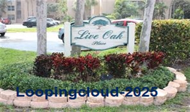 9441 Live Oak Pl # 101 DAVIE, FL 33324-4727 , Davie Florida                                                                                              33324