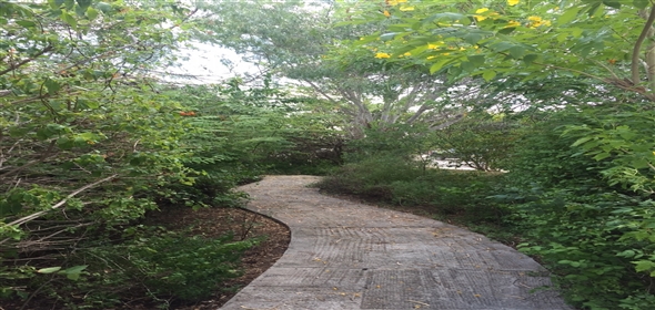 2018 N. Shary Rd. Mission Texas, 78572 | Exclusive Land for Sale