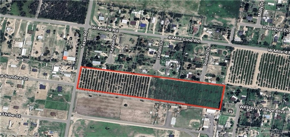00 Texan Road Mission Texas, 78572 | Exclusive Land For Sale