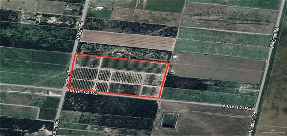 001 Western Road Mission Texas, 78574 | Commercial Land