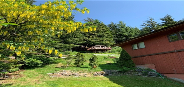 3818 Fairview Avenue Ketchikan Alaska, 99901 | Stunning Residence