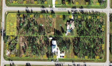 29315 Goodhue St , Punta Gorda Florida                                                                                              33982