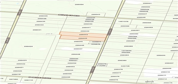 0 Texan Road Mission Texas, 78572 | Good Land for sale