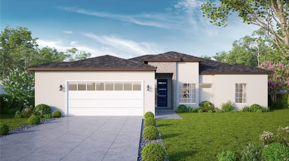 Splendid Family House