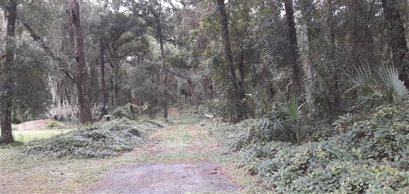 Warm Springs Wildwood Florida, 34785 | 20 ACRES surrounded by the Villages