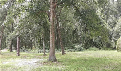  20 ACRES surrounded by the Villages