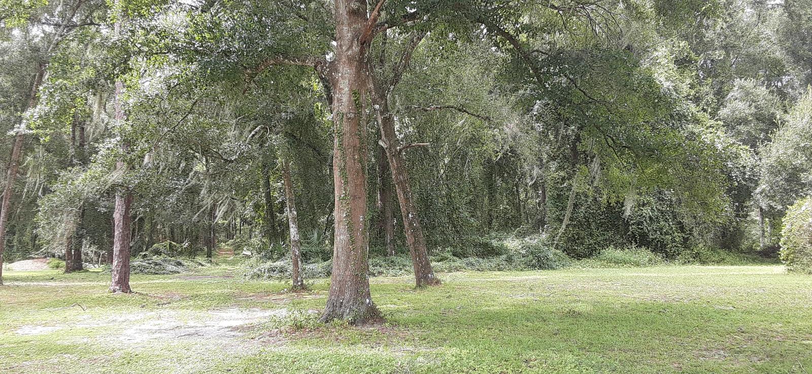 Commercial Property for Sale in Wildwood Florida 34785