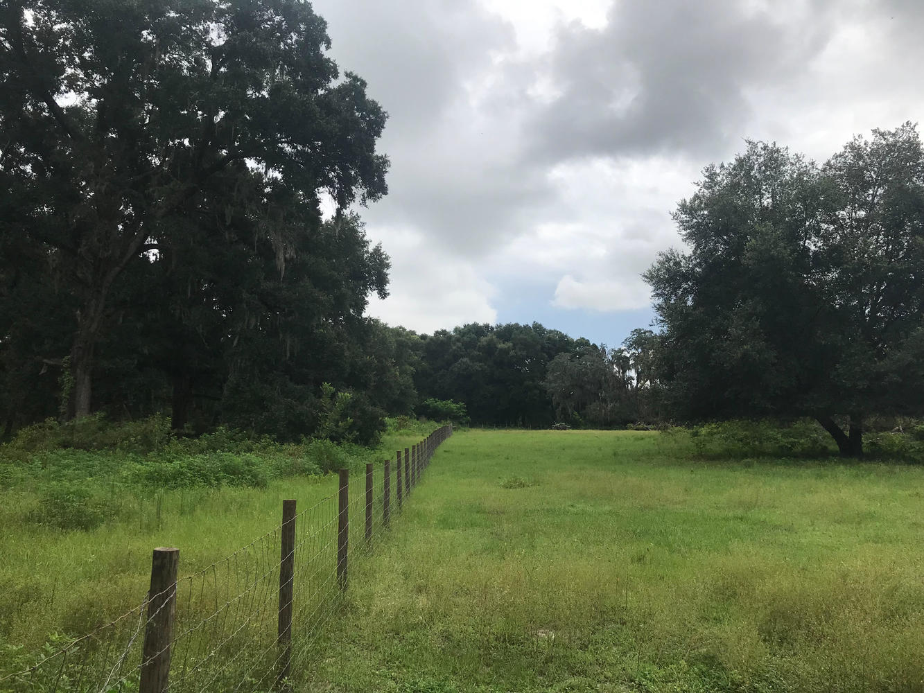 Commercial Property for Sale in Wildwood Florida 34785