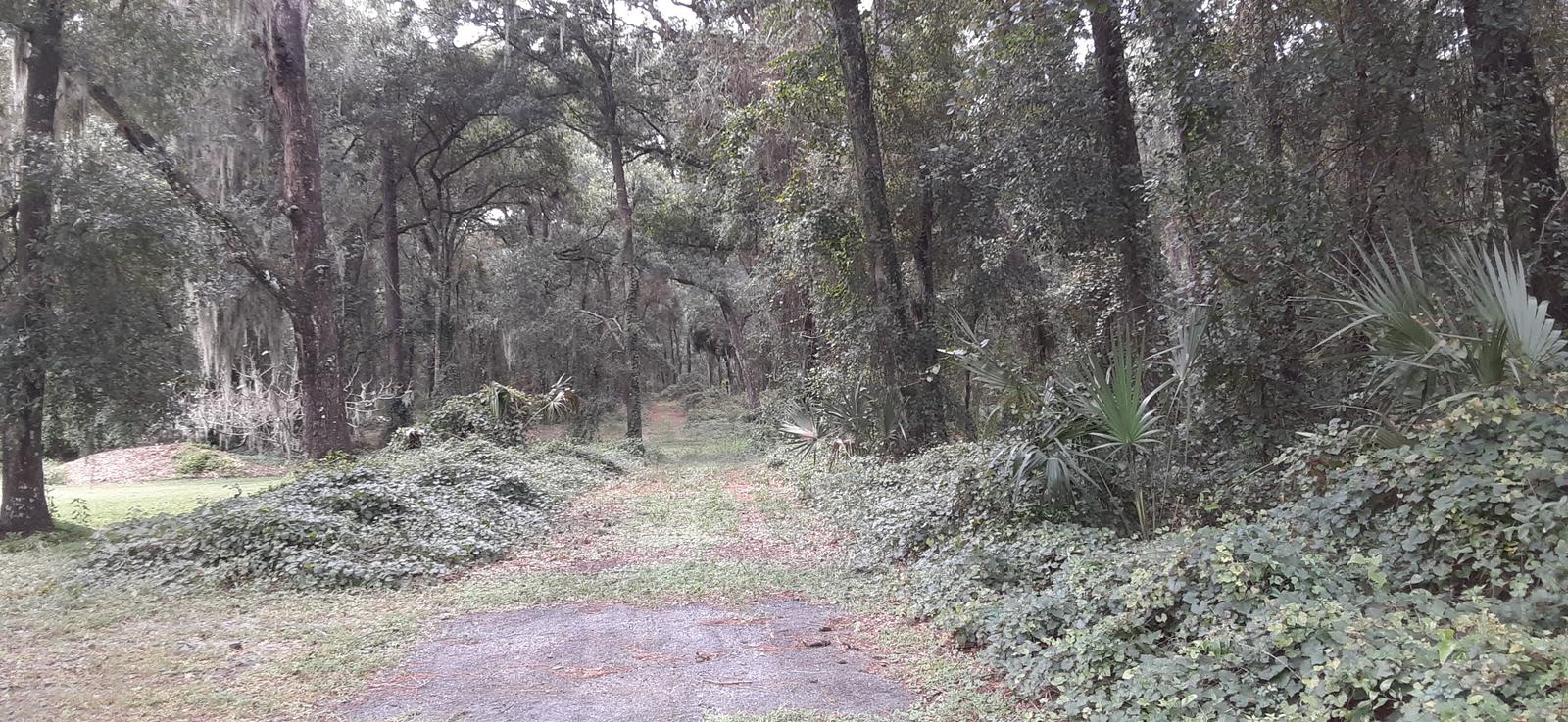 Commercial Property for Sale in Wildwood Florida 34785