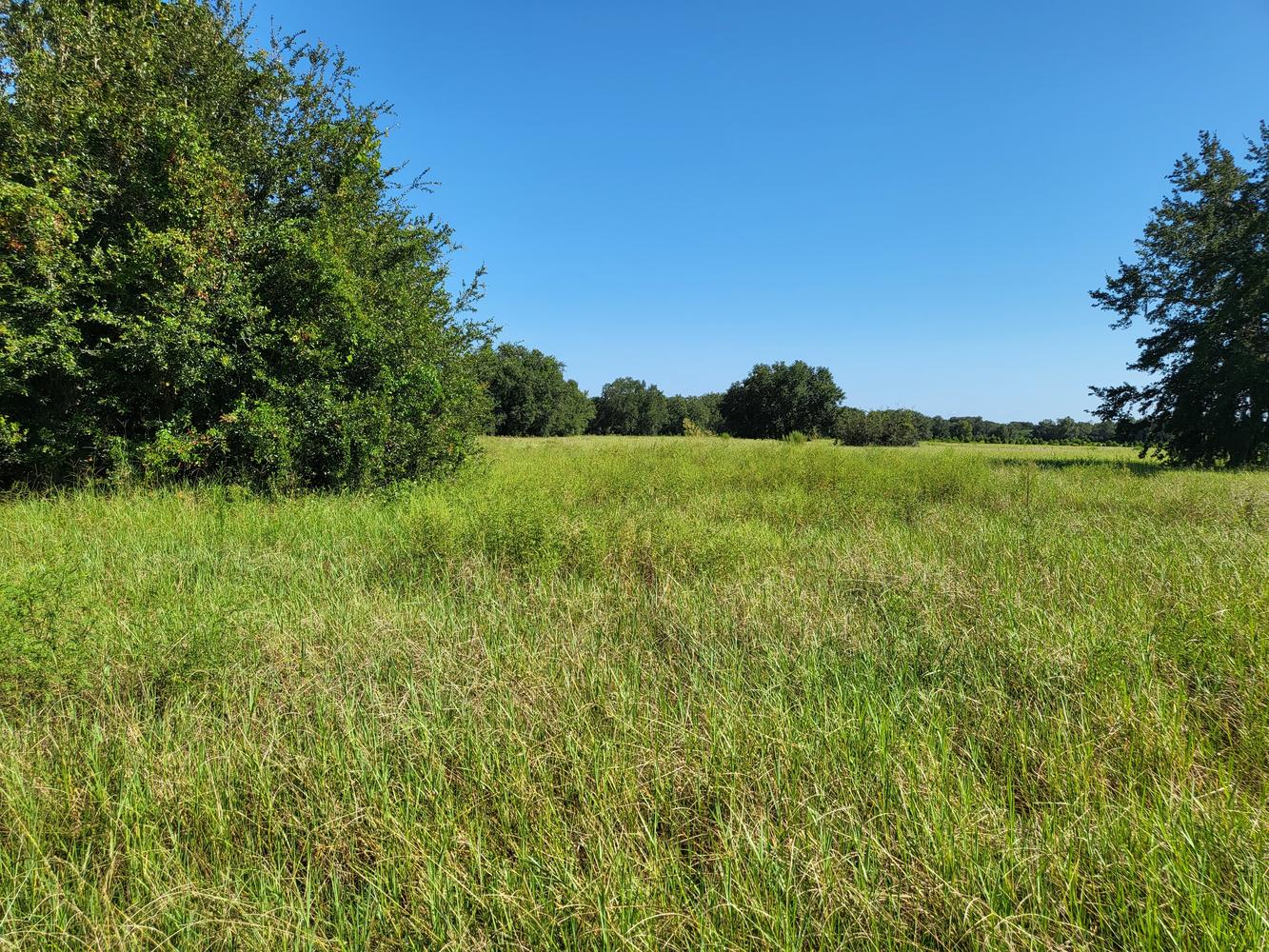 Commercial Property for Sale in Okahumpka Florida 34762