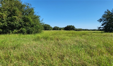 Commercial Property for Sale in Okahumpka Florida 34762