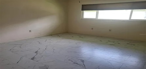 1101 Lakeshore Blvd Tavares Florida, 32778 | Stunning Totally Renovated Home