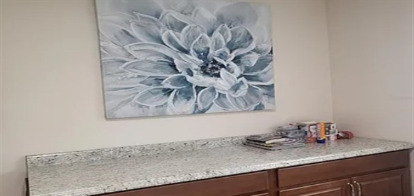 1101 Lakeshore Blvd Tavares Florida, 32778 | Stunning Totally Renovated Home