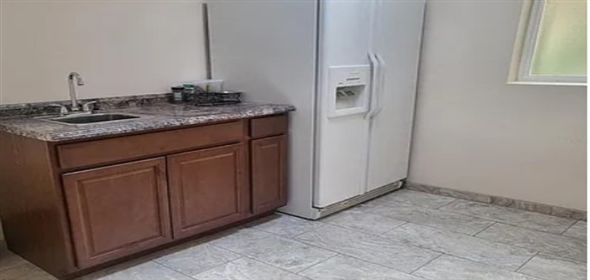 1101 Lakeshore Blvd Tavares Florida, 32778 | Stunning Totally Renovated Home