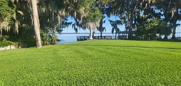 1101 Lakeshore Blvd Tavares Florida, 32778 | Stunning Totally Renovated Home